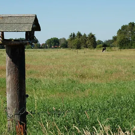 Wiekenblick شقة فيزمور